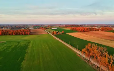 Wellesley Veterinary